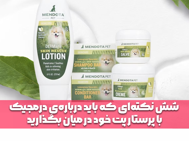 شش نکته‌ای که باید درباره‌ی درمجیک با پرستار پت خود در میان بگذارید